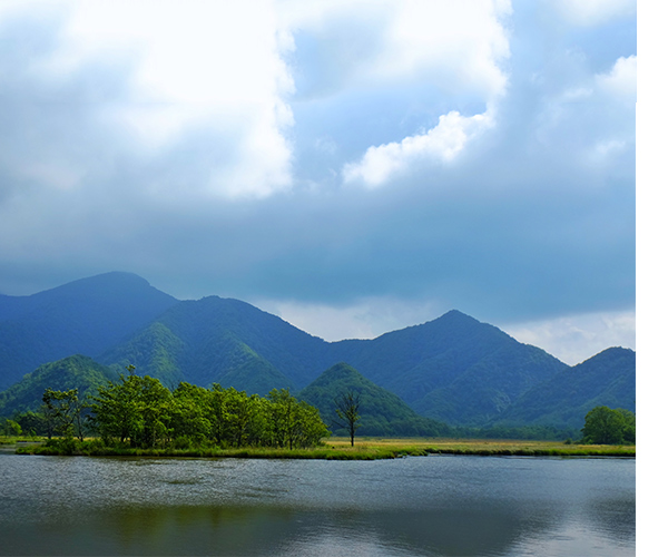 工程機(jī)械用內(nèi)燃機(jī)累計(jì)銷量63.10%